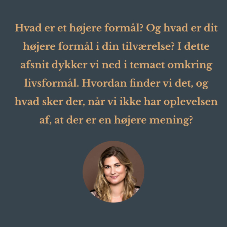 At finde The Higher Purpose